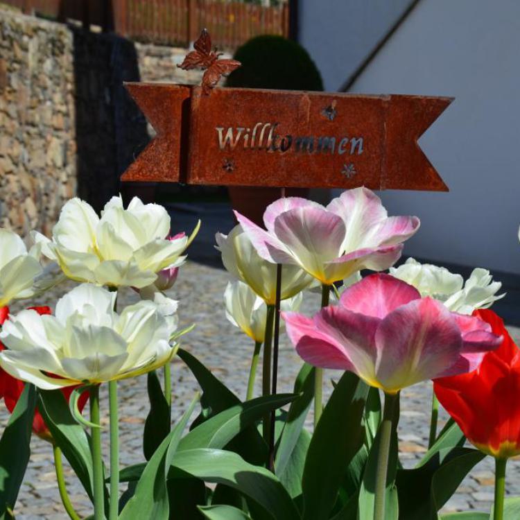 Willkommensschild aus Rost-Metall zwischen bunten Frühlingstulpen am Eingang des Mayerhofs in Kuens bei Meran