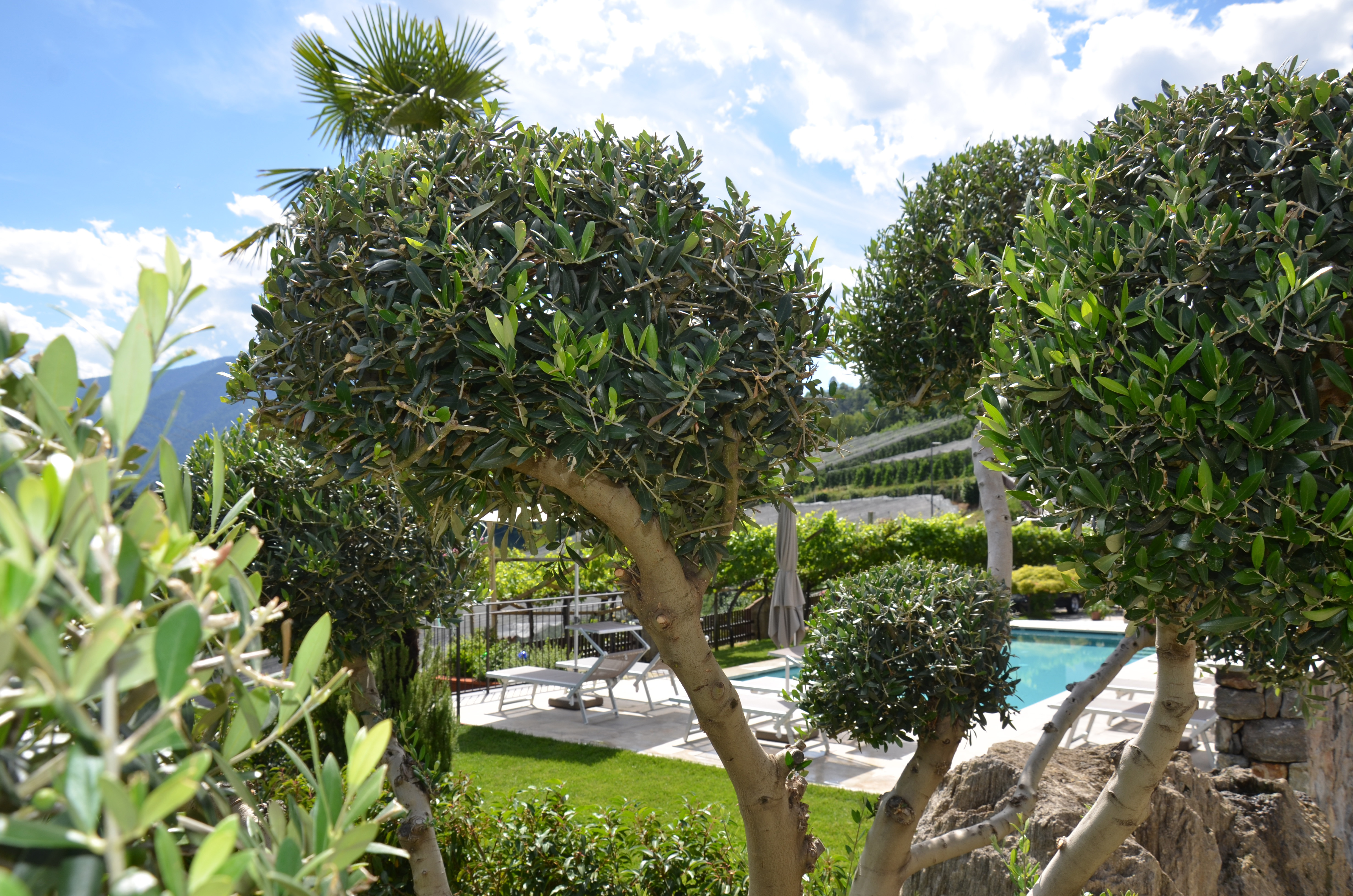 Freischwimmbad Freischwimmbad