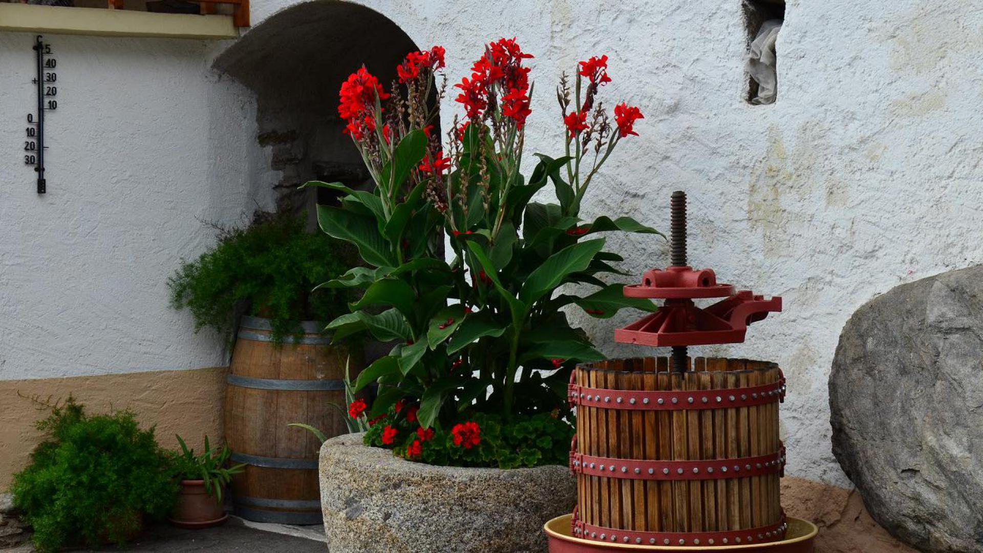 Historische Weinpresse und Holzfass mit roten Blumen im Innenhof des Mayerhofs in Kuens – authentisches bäuerliches Ambiente am Südtiroler Bauernhof